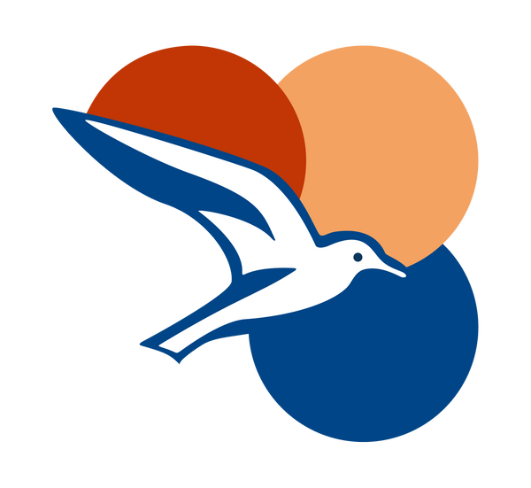 Salviri